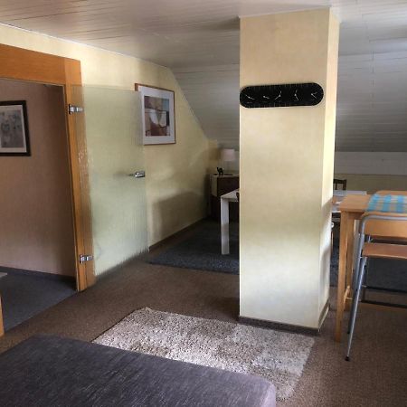 Ironico Homestay 4 Schlafzimmer Ferienwohnung 100 M2 Nahe Bostalsee Eisen (Sankt Wendel) Exterior foto