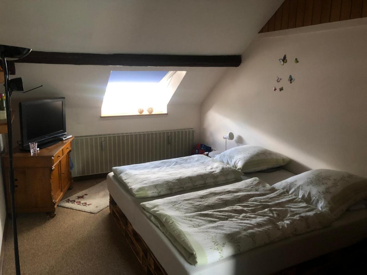 Ironico Homestay 4 Schlafzimmer Ferienwohnung 100 M2 Nahe Bostalsee Eisen (Sankt Wendel) Exterior foto