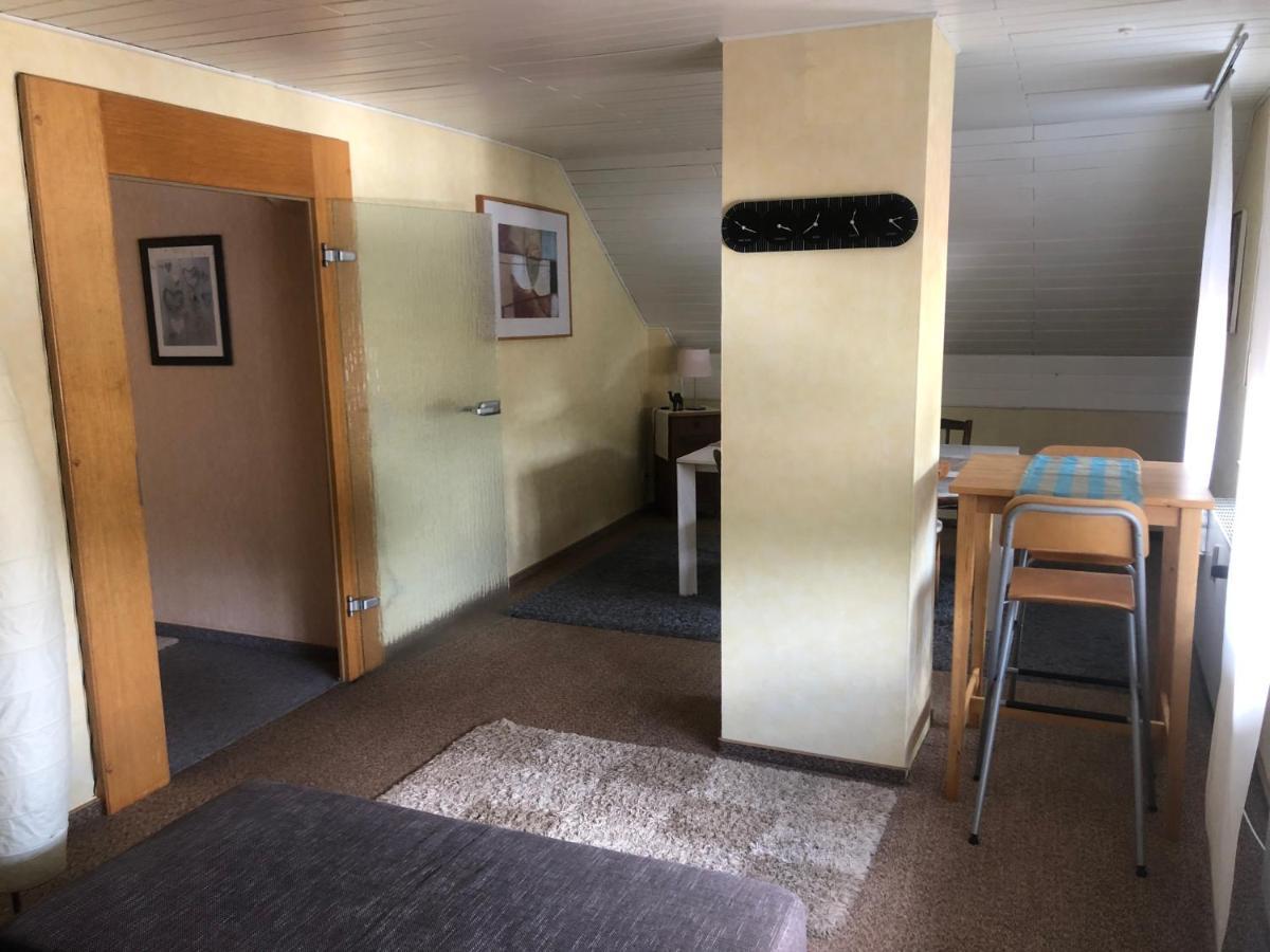 Ironico Homestay 4 Schlafzimmer Ferienwohnung 100 M2 Nahe Bostalsee Eisen (Sankt Wendel) Exterior foto