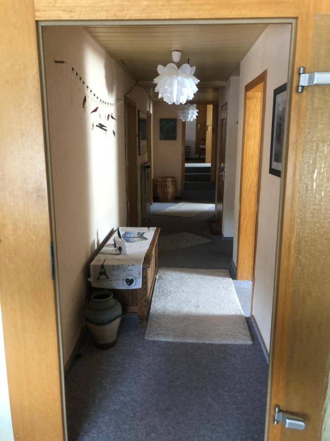 Ironico Homestay 4 Schlafzimmer Ferienwohnung 100 M2 Nahe Bostalsee Eisen (Sankt Wendel) Exterior foto